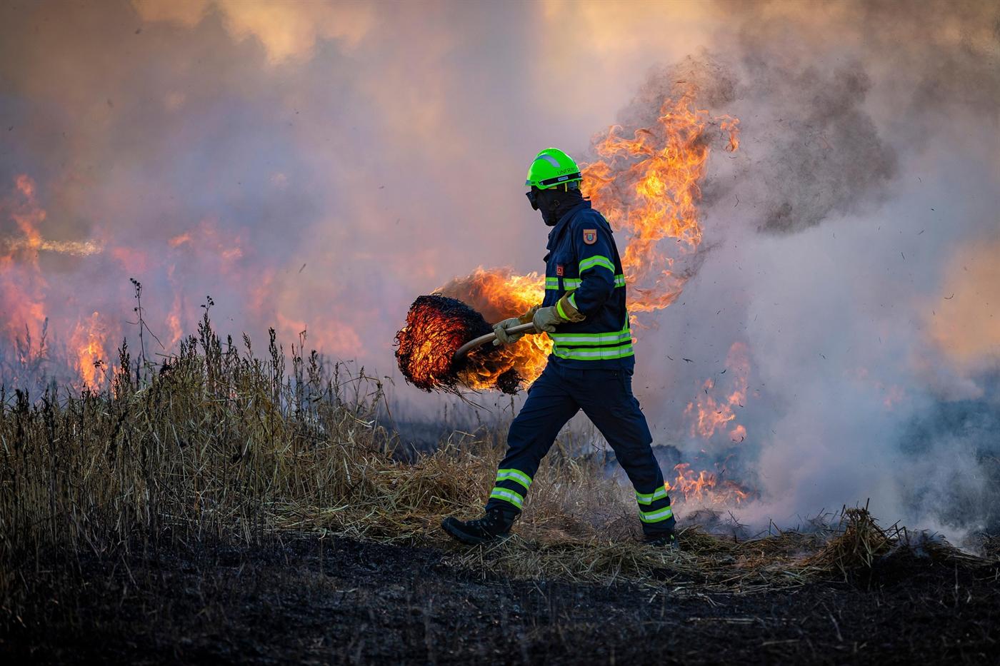 Ein Feuerwehrmann in Helm und Schutzkleidung schlägt Flammen auf einem
                brennenden Feld aus.
